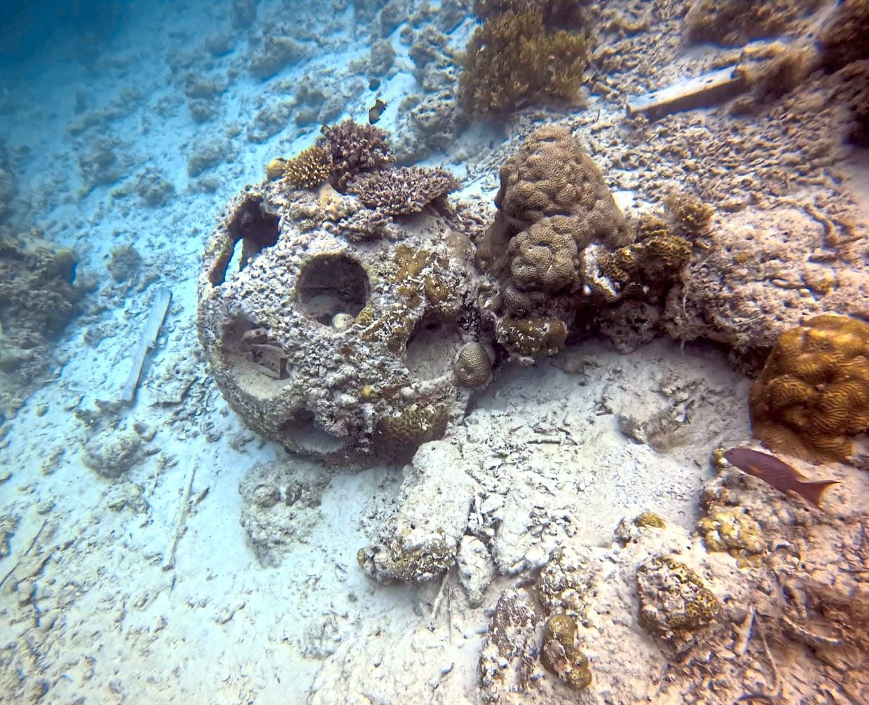 A view of other reef ball sites.
