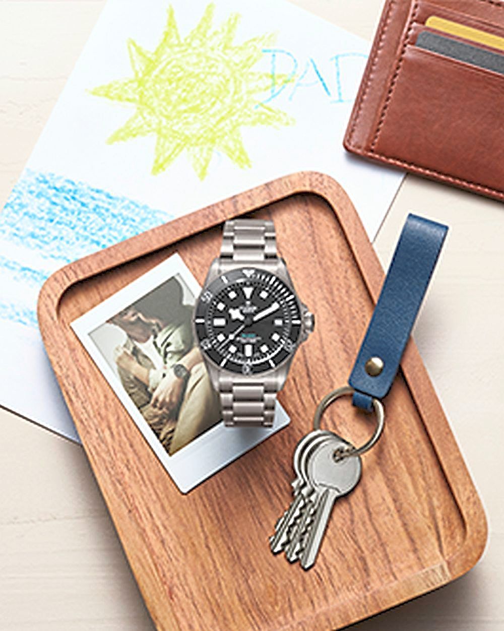 Tudor Pelagos Ultra.