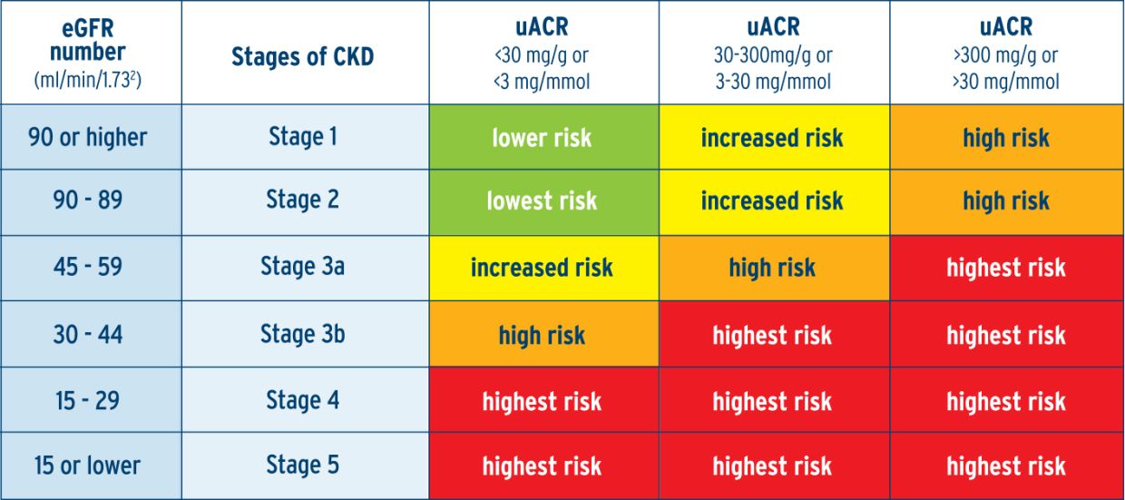 Figure 1: CKD heatmap showing the stages of CKD based on eGFR and proteinuria (uACR) levels, with corresponding risk levels for disease progression.