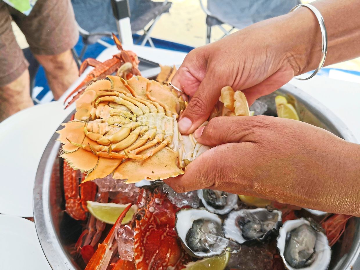 Kissick demonstrates the correct way to de-shell a Morten Bay bug.