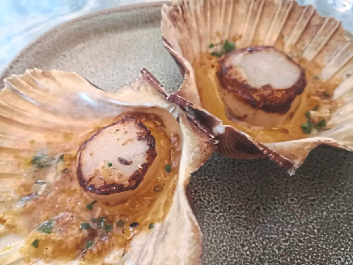 Scallops, like the ones served at Spicers Balfour Hotel in Brisbane, form an important part of the Quandamooka diet.