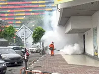 Only lab tests can confirm chikungunya infection