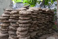 Cow dung to drive cars 5,500km in India without causing pollution