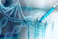 ‘Dormant bombs’: unique genes that make us smart may also fuel cancer, China study shows