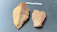 Possible artefacts of oldest known Wallacean hominids surface