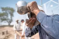 Surviving the scorch