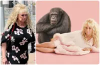 'Chimp Crazy' star sentenced to nearly 4 years in prison for lying that primate had died