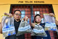 Fish, squid, prawns, in PD waters safe for consumption, says Negri Fisheries Dept