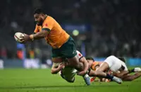 Rugby-Australia look to dogs of war in Ellis Park battle against Springboks