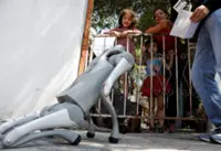 Robot dog in Mexico teaches animal kindness on the streets