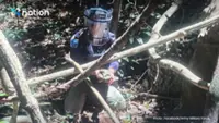 Over 480 explosives cleared in 11-day operation at Thai-Cambodian border provinces