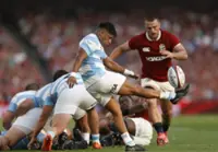 Rugby-Dangerous Argentina ready to build on Rugby Championship progress