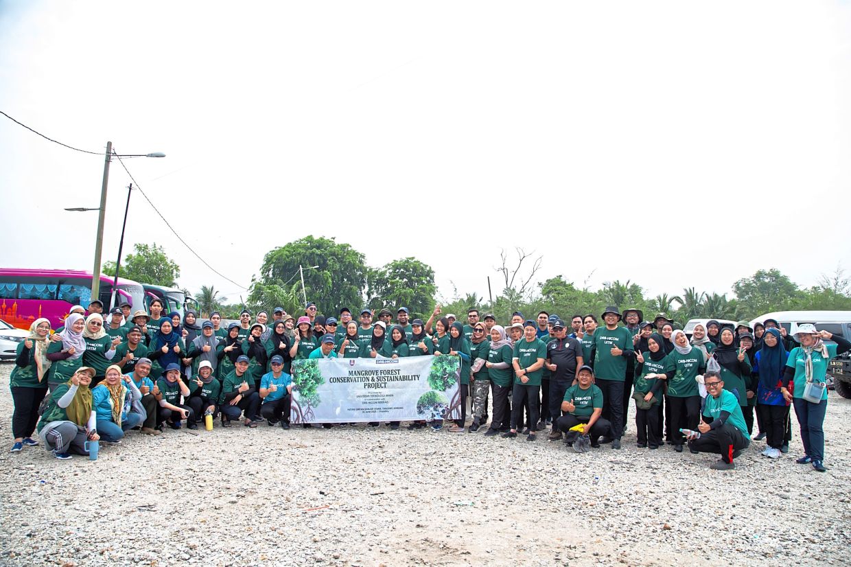 Usaha Pemulihan Bakau Berjaya: Pantai Tg Karang Kembali Subur!