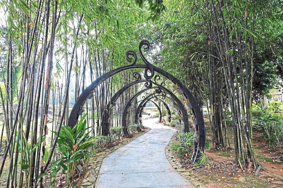 Six local councils were involved in upgrading the garden, spread over 50ha.