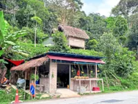 Protecting Orang Asli rights to their customary land