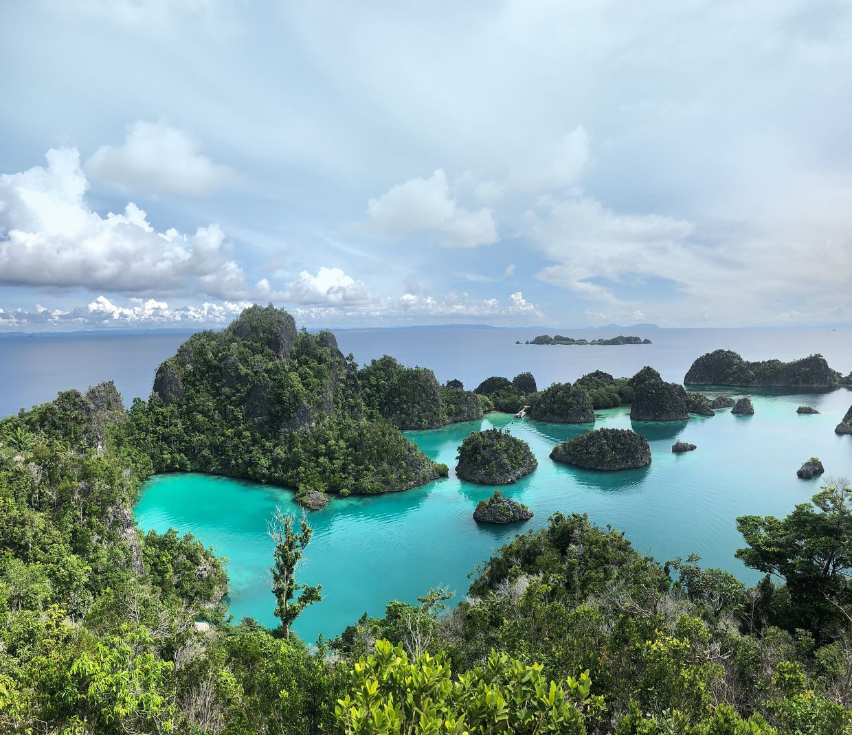 Raja Ampat has a lot of tourism potential, but the nearest airport in Sorong only runs domestic flights. — Pixabay
