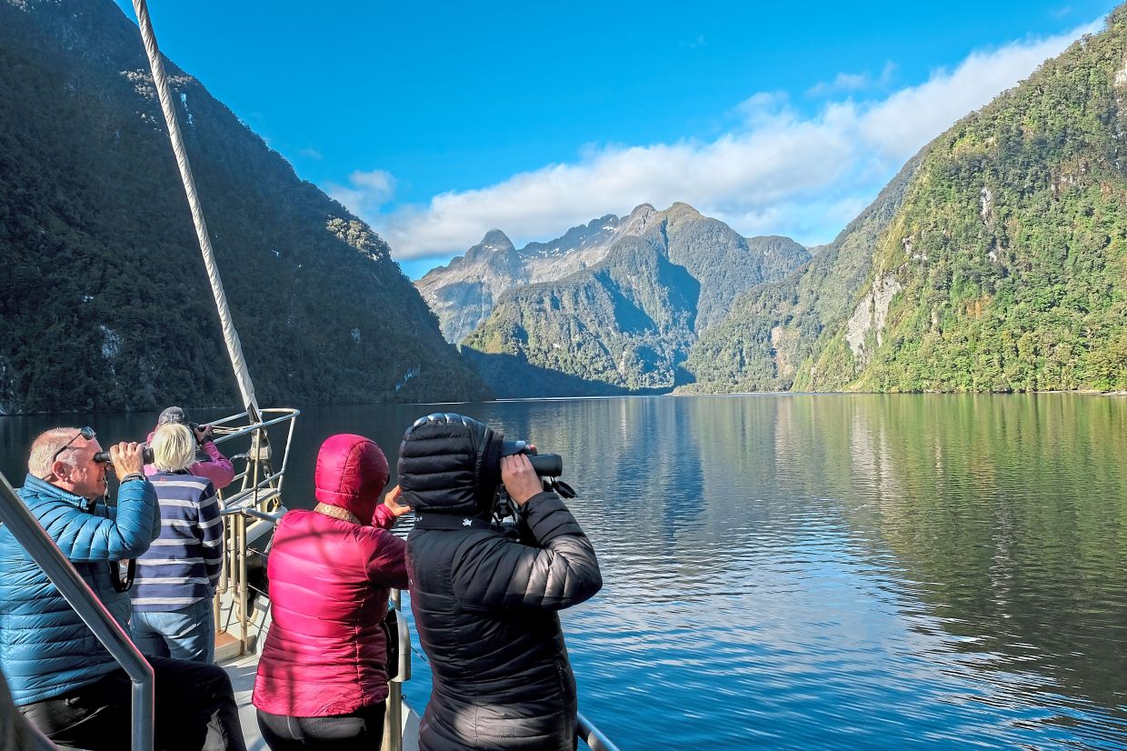 Hall Arm is considered the most beautiful area in Doubtful Sound.