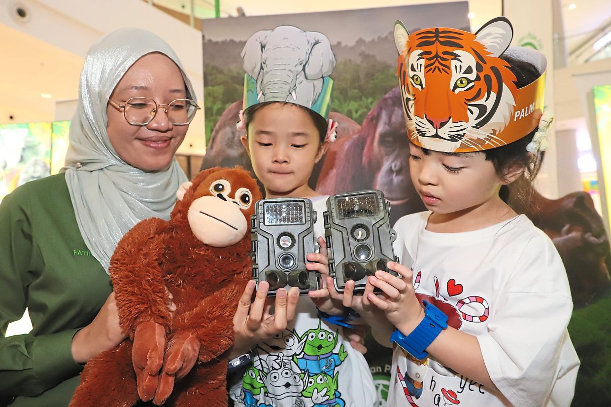 (From left) MPOGCF conservation sustainability executive Nur Fatin Amirah Mohd showing the camera trap to Mavis Ooi, 7, and Migina Ooi, 5, at the Jelajah Sawit Hijau first Jelajah Sawit Hijau roadshow at the Aman Central Mall in Alor Setar. — LIM BENG TATT/The Star