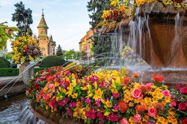 Timișoara, a city in Romania often called 'Little Vienna', is celebrated for its grand architecture and cultural heart.