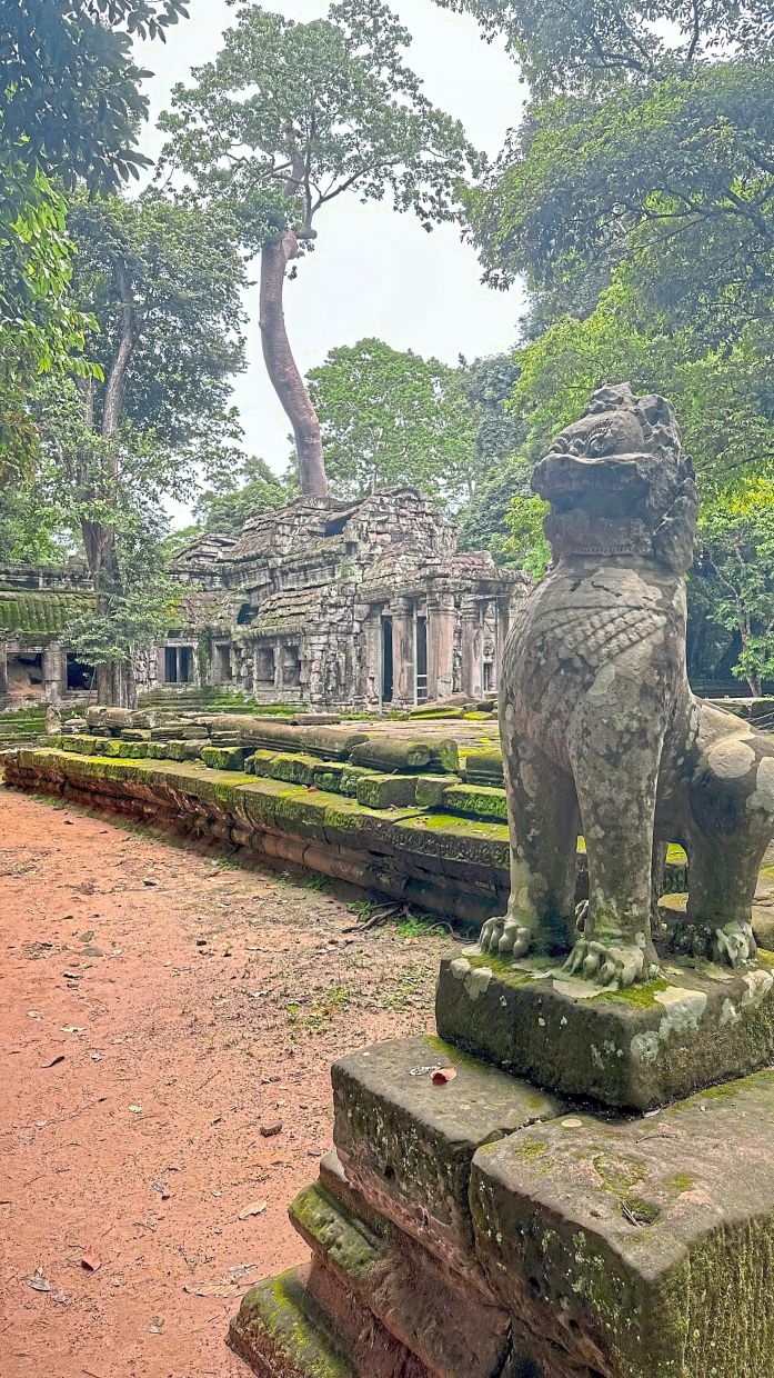 The stones at Nokor Thum or Angkor Thom covered in moss.