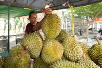 Durian diplomacy: China welcomes Cambodia’s first direct air shipments of fruit