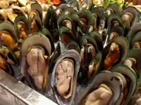 Port Dickson shellfish still not safe to eat, third sampling next week
