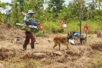 Cambodia welcomes Chinese support for mine clearance in border areas