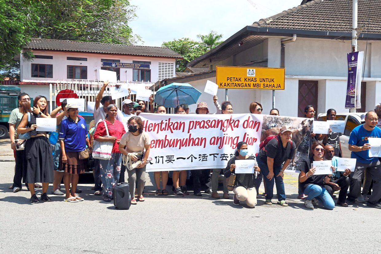 NGOs protesting outside the Ipoh City Council enforcement office over the killing of stray dogs.