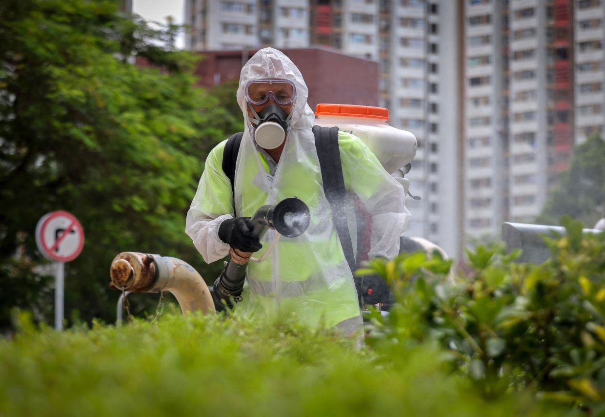 Fighting chikungunya in Hong Kong: why do experts reject mosquito ‘weaponising’?