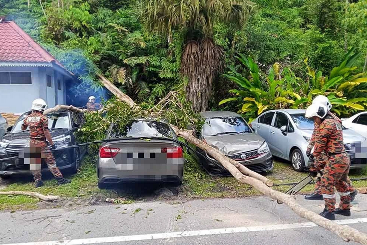 Falling tree damages 10 cars in Gunung Angsi