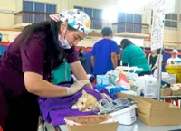 Campaign in second year with free vaccinations, subsidised neutering