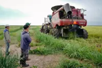 Vietnamese rice grower helps tackle Cuba's food shortage