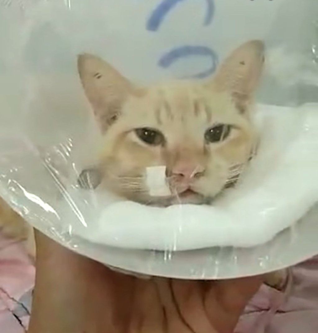 Upon arrival at the scene, Bingbing saw that another person was attempting to perform CPR but was pressing on the wrong area. - Photo: Bright TV