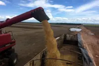 China’s early South American soybean buys squeeze US out of peak export window