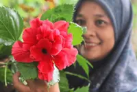 Blooming in full glory again