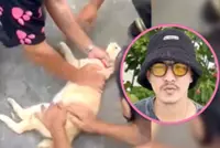 Thai man saves electrocuted cat by performing CPR, earns widespread praise online