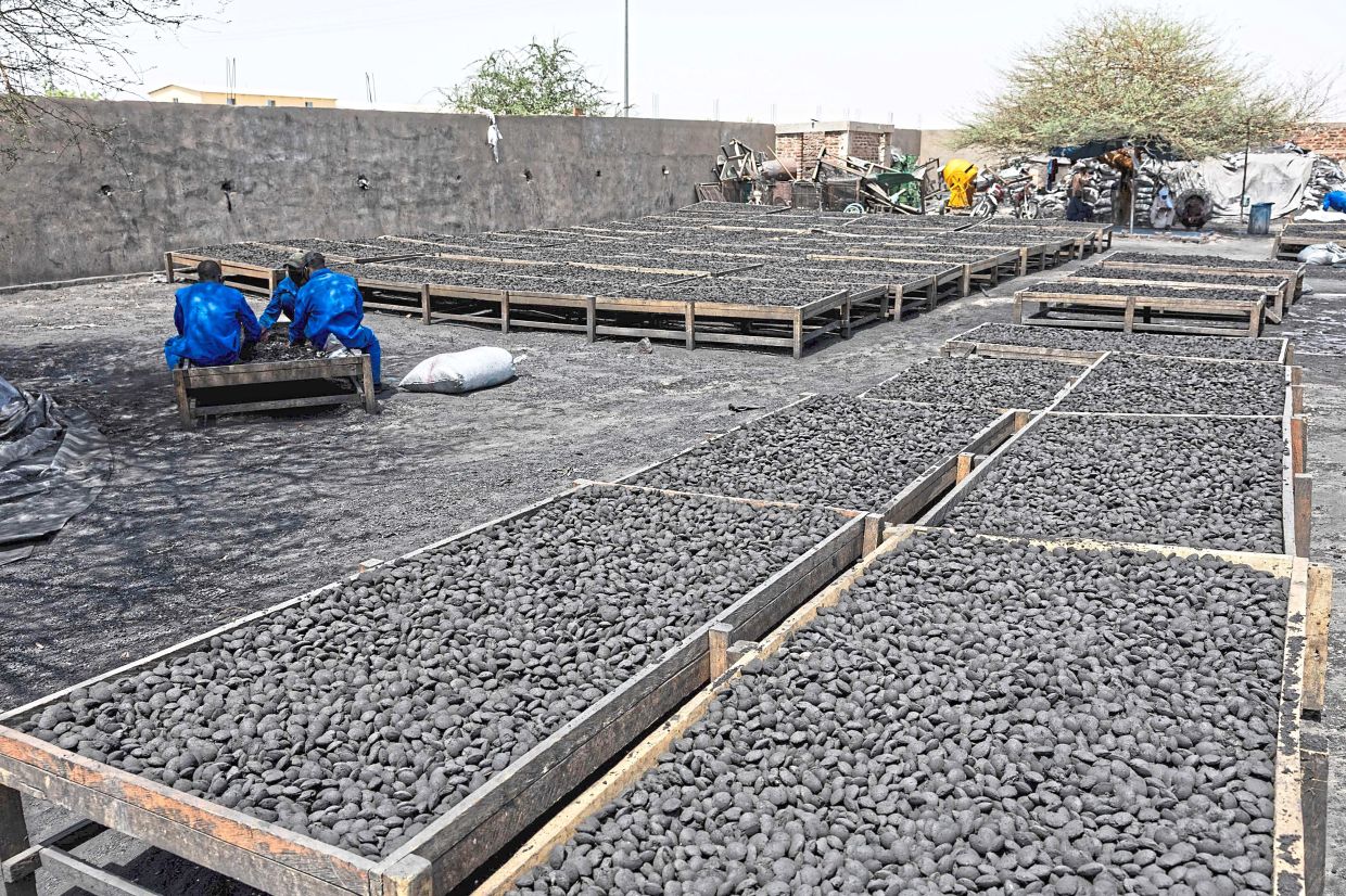 A general view of pebbles of coal drying in the sun.
