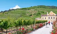 Exploring the panoramic Austrian World Heritage Site known as the Wachau