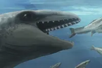 Scientists discover an ancient whale with a Pokémon face and a predator bite