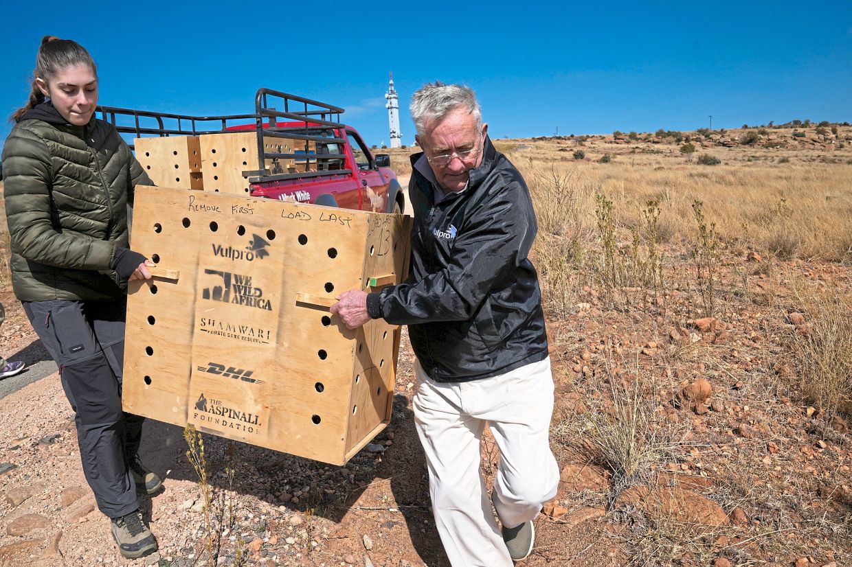 Volunteer Lucia Castro Garrido (left) and Alistair Sinclair, general manager for VulPro, offload crates containing vultures to be released.