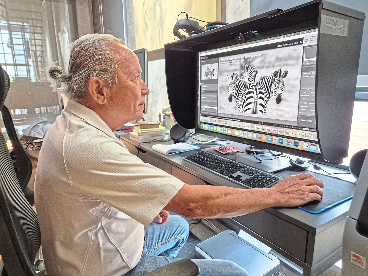 Sim used photo-editing software to sift through his vast image collection, selecting only the finest shots for the exhibition. Photo: The Star/Sheela Chandran