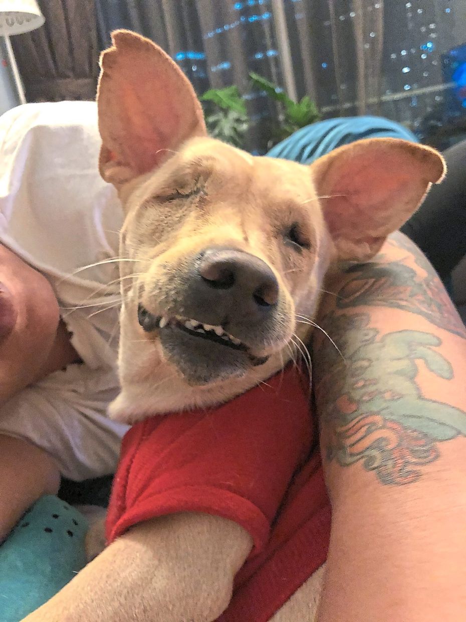 In 2019, Pickles just after finding her forever mum. — ELLEN WHYTE