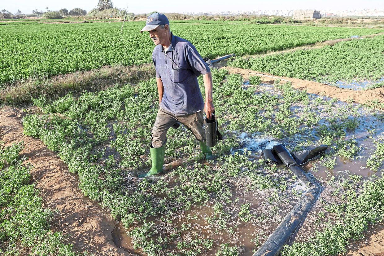 Farmers irrigate their field.