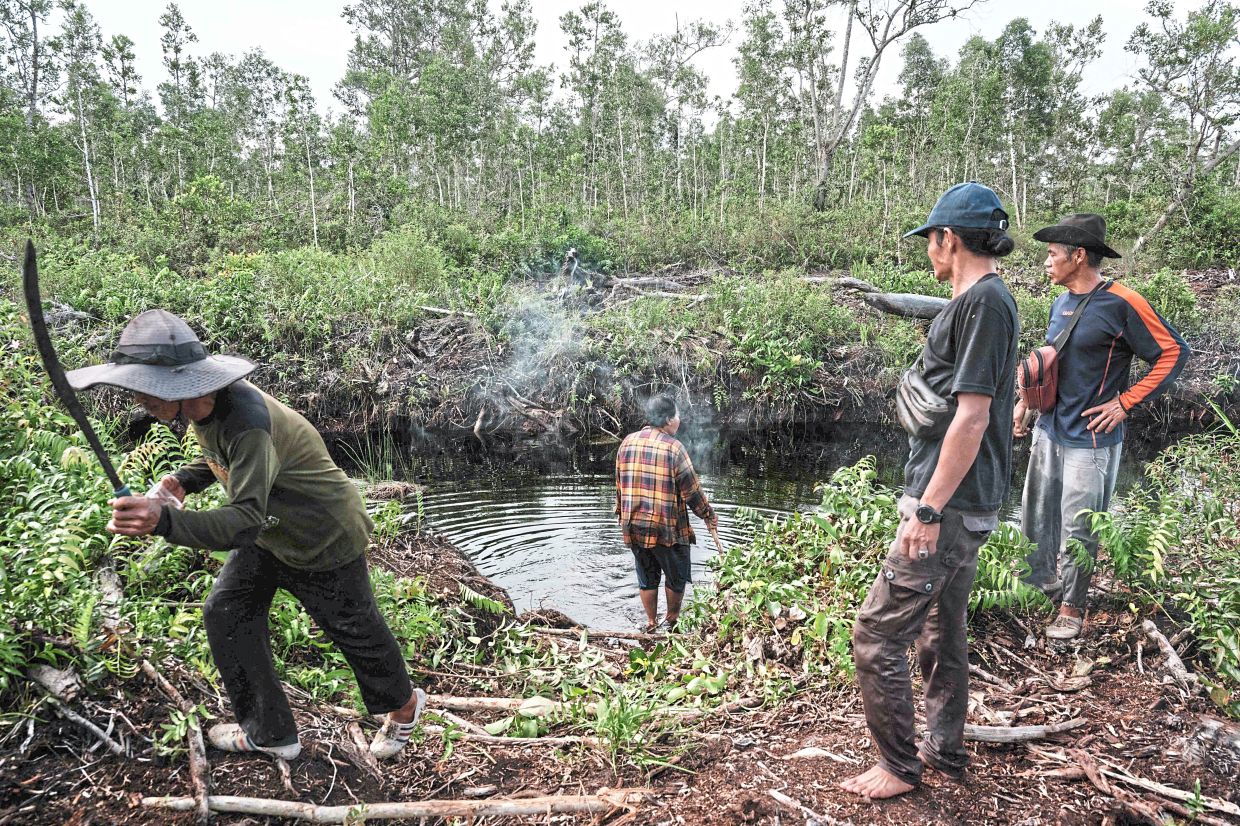 Residents checking a canal cutting through the peatland forest and near an acacia plantation in Lebung Itam, South Sumatra. 