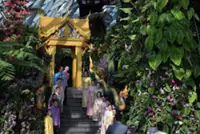 Singapore seals carbon credit deal with Thailand, its first South-East Asian partner