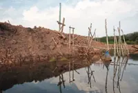 Indonesians fight to save peat land from being converted for agriculture