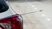 QuickCheck: Did a car get shot with an arrow in Penang?
