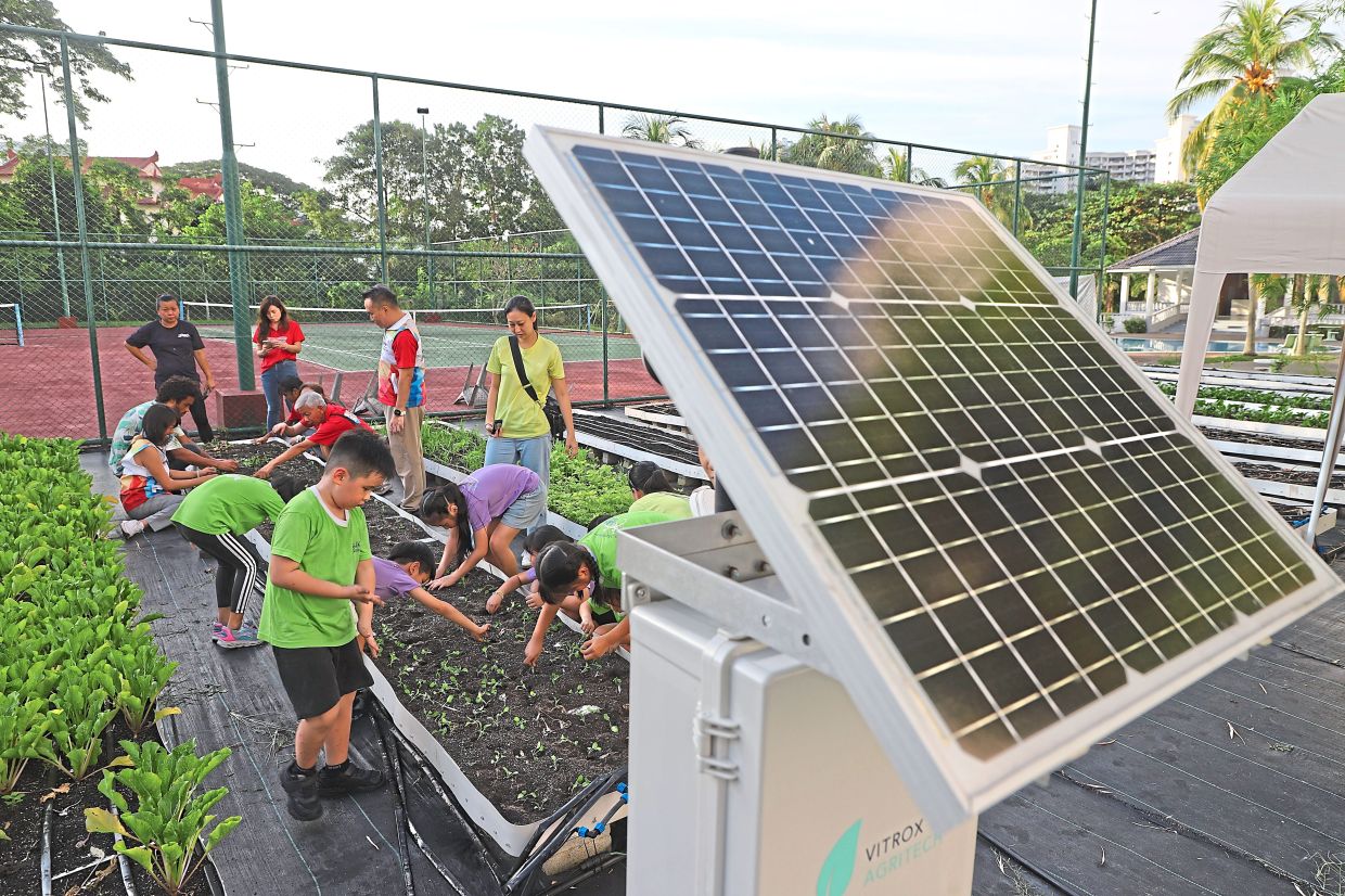 ViTrox Agritech installed solar-powered panels at Grand View Condominium’s urban garden in Jalan Tanjong Tokong.