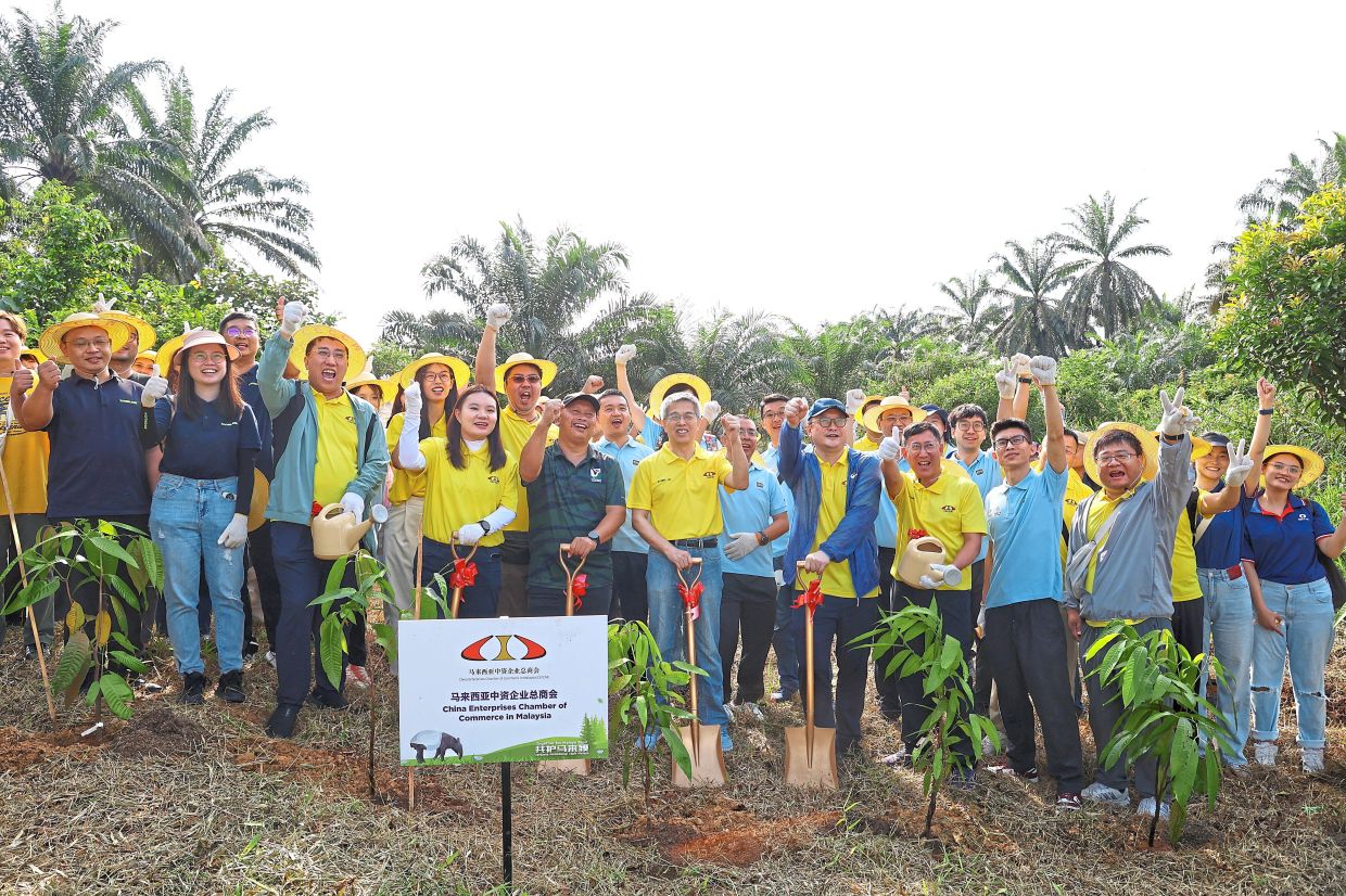About 70 participants, including representatives from 20 different companies, planted 100 native trees at the Tapir Food Bank site. Photo: MUHAMAD SHAHRIL ROSLI/The Star 