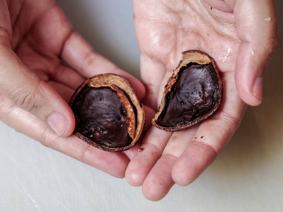 QuickCheck: Enthält „Buah Keluak“ ein tödliches Gift?